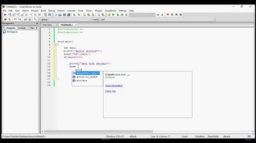 Kullanıcının girdiği sayının tek mi çift mi olduğunu bulan program