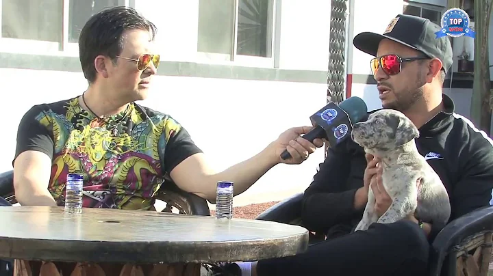 AMERICAN BULLY  Entrevista Juan Andrade criador   ...