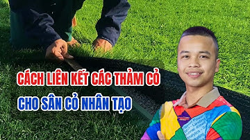 Cách liên kết các thảm cỏ cho sân cỏ nhân tạo