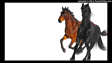 Lil Nas X - Old Town Road (ft. Billy Ray Cyrus) [Instrumental Remake]