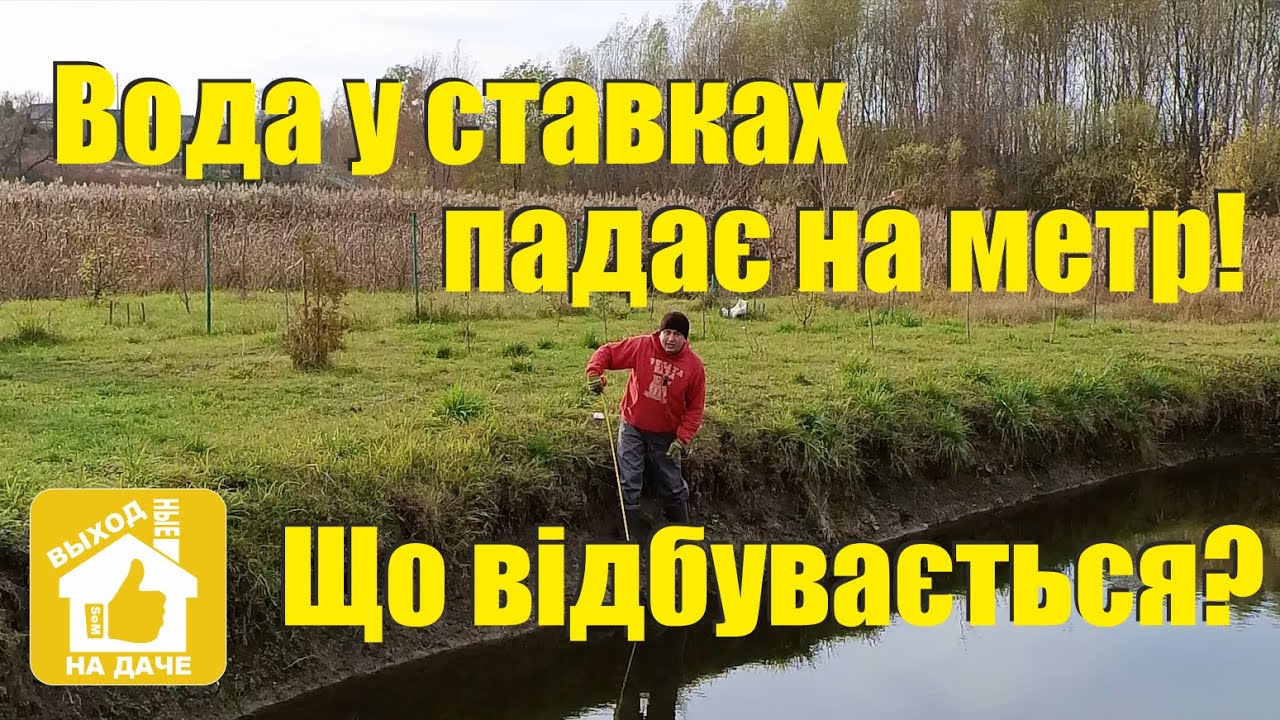 Вода 💧в прудах падает на метр😱! Что происходит⚠️? Почему в прудах и водохранилищах 🌊 пропадает в....