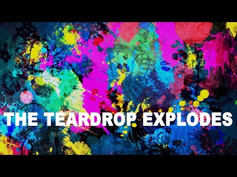 The Teardrop Explodes 'The Great Dominions' (+lyrics)