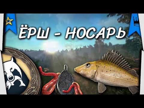 Актуальная точка. Ёрш-носарь + разнорыбица. Вьюнок. Русская Рыбалка 4.