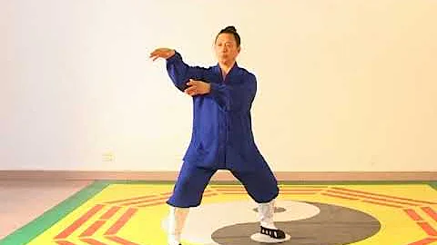 武当张三丰太极拳一百零八式VTS 01 1 - 天天要闻