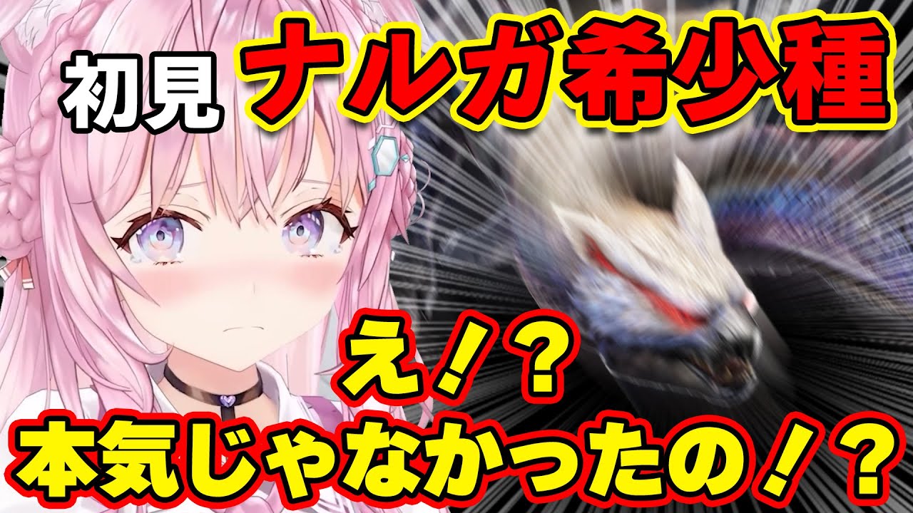 ナルガ希少種に終盤で本気になられて焦り散らかすこよりｗ【ホロライブ切り抜き/博衣こより/MHRise:S】