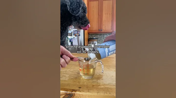 DIY All Natural Doggy Deodorizer - DayDayNews