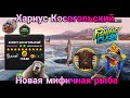 Новая рыба - Хариус Косогольский , Игровой процесс,Большой Турнир / Fishing Clash: Реальная рыбалка