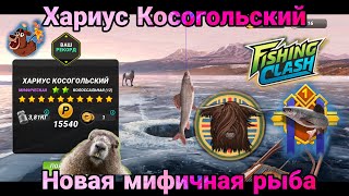 Новая рыба - Хариус Косогольский , Игровой процесс,Большой Турнир / Fishing Clash: Реальная рыбалка