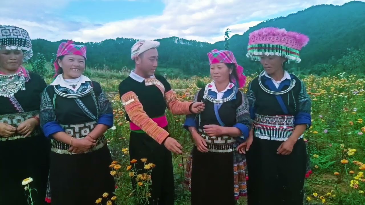 Mim lis hab huj yaaj hab las hawj suab lus txaj rov tawm tshab zoo kawg li