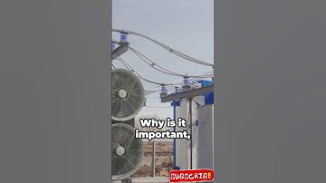 What is Percentage impedance of Transformer? #interviewquestions #electricalengineering