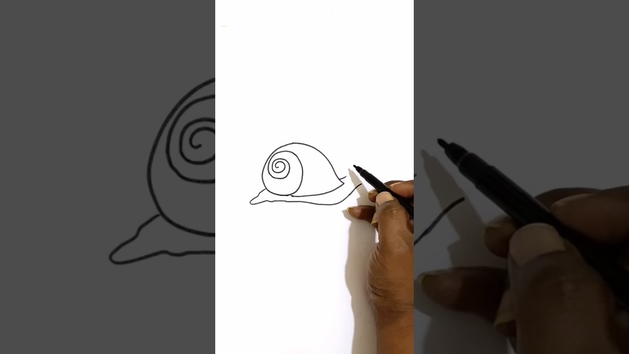 how to draw snail in speed draw｜TikTok Search