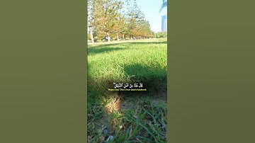 #اكسبلور #المصحف #kuran #لايك #قران_كريم آيات قصيرة من القرآن حالات واتس آب #دويتو #kuranıkerim