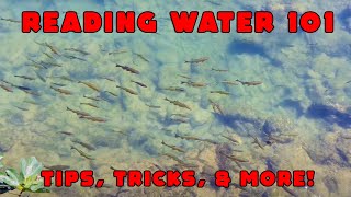 How To Read A River To Catch Steelhead Or Trout (Reading Water Tutorial)