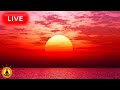 🔴 Relaxing Sleep Music 24/7, Calm Music, Yoga, Sleep Meditation, Spa, Study Music, Sunset Ocean