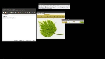 34 imagej將影像的線條影像拉直line Straighten