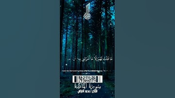 محمد الغزالي سورة المائدة وَإِذْ قَالَ اللَّهُ يَا عِيسَى ابْنَ مَرْيَمَ أَأَنْت َ قُلْتَ لِلنَّاسِ🤍