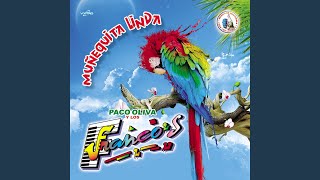 Video thumbnail of "Paco Oliva - Mix Jenni: Basta Ya / De Contrabando"