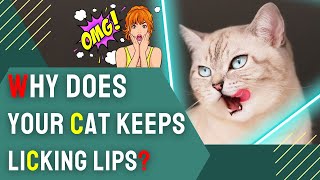 Why Does Your Cat Keeps Licking Lips? | Understanding Feline Behavior! by Charming Pet Guru Official 194 views 3 weeks ago 10 minutes, 13 seconds
