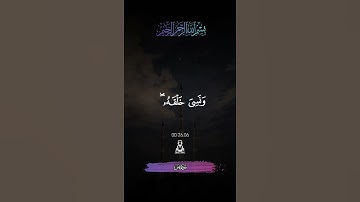 سورة يٰسٓ❤️