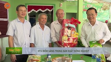HTX ĐIỂM SÁNG TRONG SẢN XUẤT NÔNG NGHIỆP | VTV5
