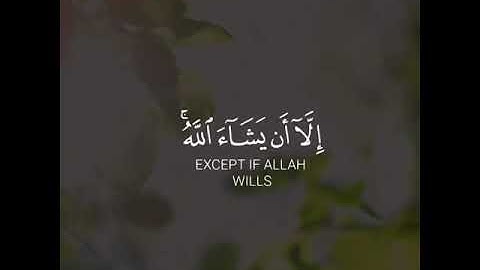 سورة الكهف آية ٢٣-٢٤