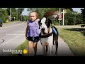 Great Danes as Assistance Animals