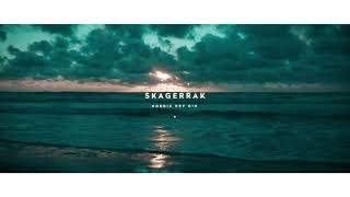 Skagerrak Gin - Let the Mixing Be Gin