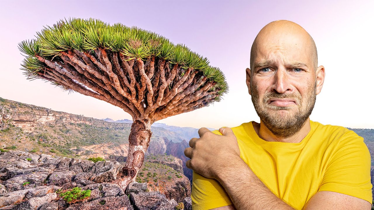 TRUE MISERY. - YouTube