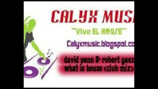 david penn & robert gaez - what is house (club mix)