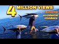 HOW TO CATCH YELLOW FIN TUNA? AMAZING BIG CATCH ON THE SEA gamit ang ata/ink ng malalaking pusit