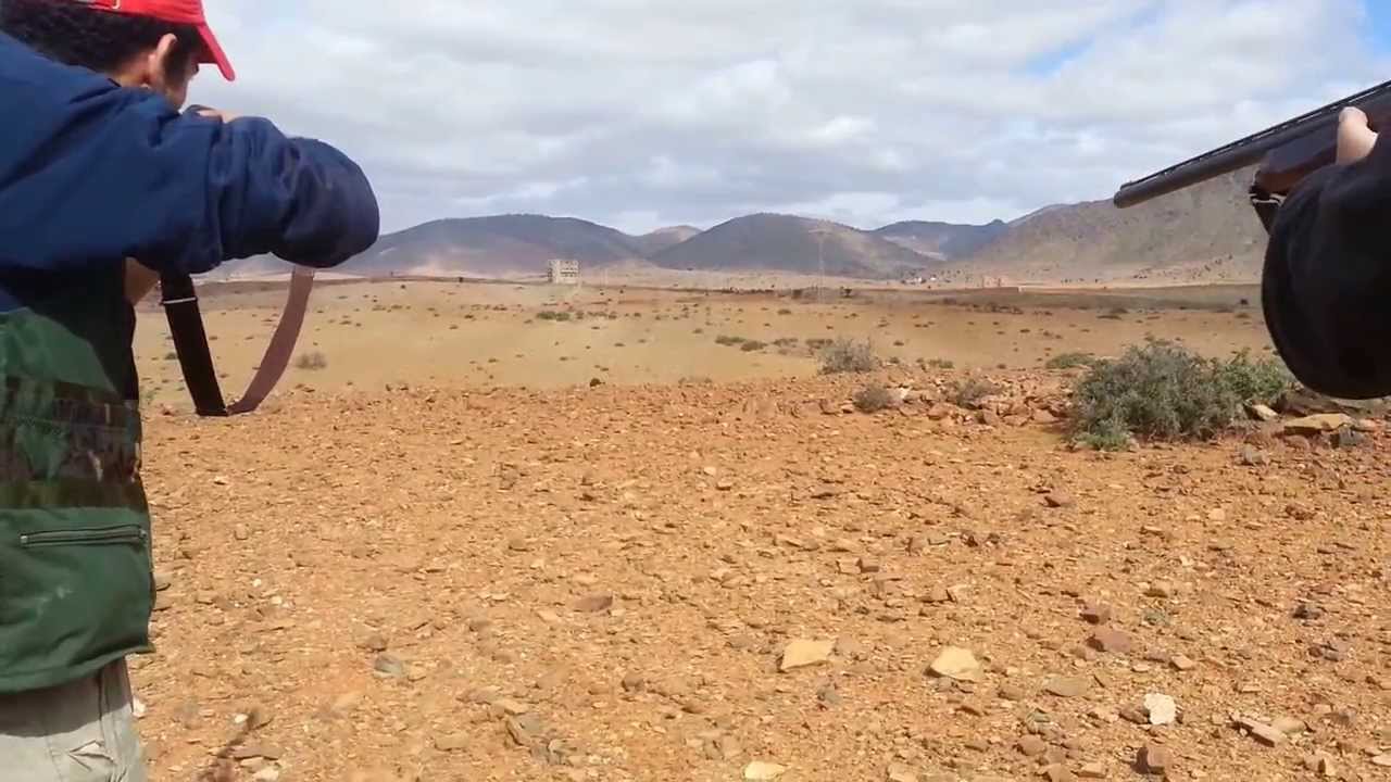 chasse sanglier au maroc YouTube — free download