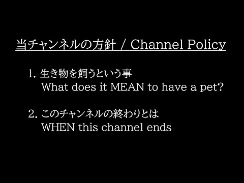 コンテンツご利用前に視聴ください / Take a look before you use the content