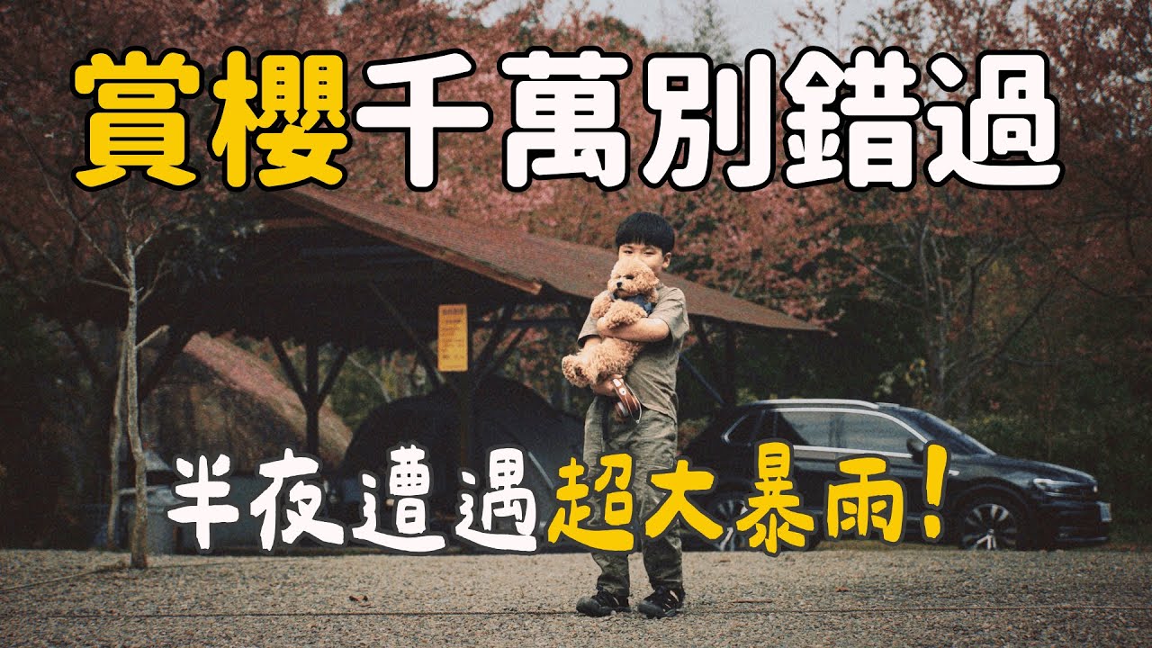 【在超美櫻花樹下露營】超好吃但是很難做的草莓料理｜鹿林道營地｜大發家TheAlphas