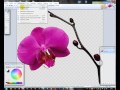 Урок для начинающих Работа в графическом редакторе Paint.net