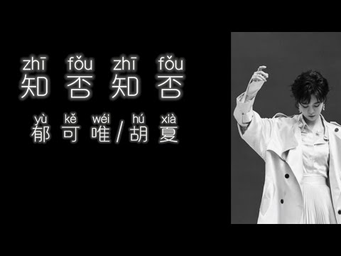 《知否知否》 郁可唯/胡夏 【高音质歌词版】