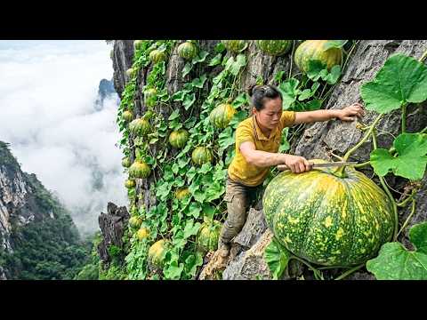 Harvesting 100kg Forest Pumpkins, Selling at Market and Cooking Pork Trotters | Rural Life