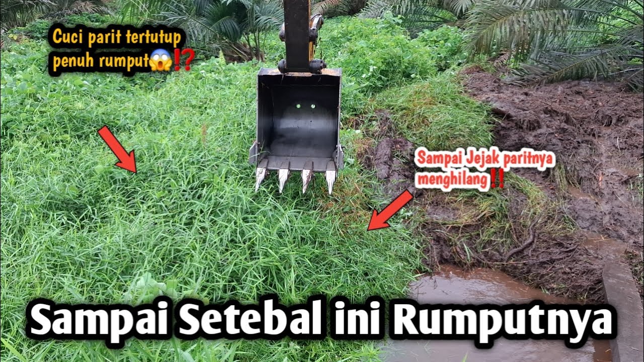 Sampai Jejak paritnya tidak terlihat😱⁉️Cuci parit tertutup penuh Rumput||Setebal ini rumputnya‼️