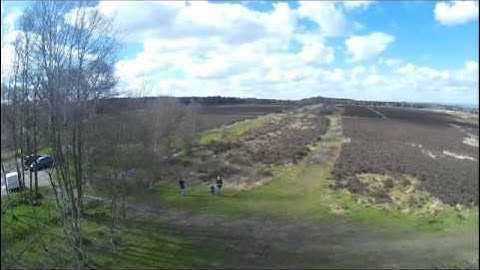 XK X380 at Cannock Chase