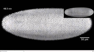 1.1 Introduction | Image Analysis Class 2013