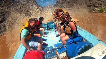 Subscribe to Viator.com!