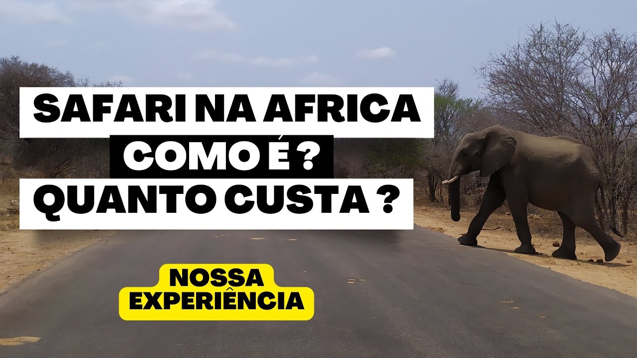COMO É E QUANTO CUSTA FAZER UM SAFARI NA AFRICA DO SUL ? - YouTube