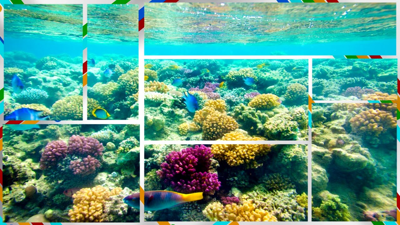 Detour - Gunnar Olsen ( МУЗЫКА БЕЗ АВТОРСКИХ ПРАВ )