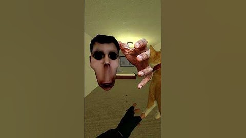 Omoto And Handfogod Chasing in Liminal Hotel Nextbots Gmod