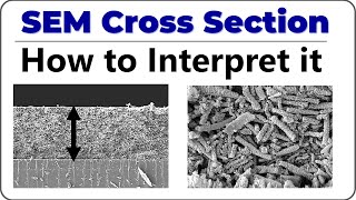 Sem Cross Section Analysis How To Interpret Micrographs