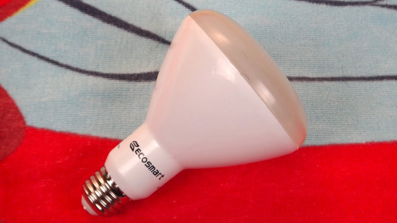 Ecosmart R30 Daylight 12watt LED Light Bulb