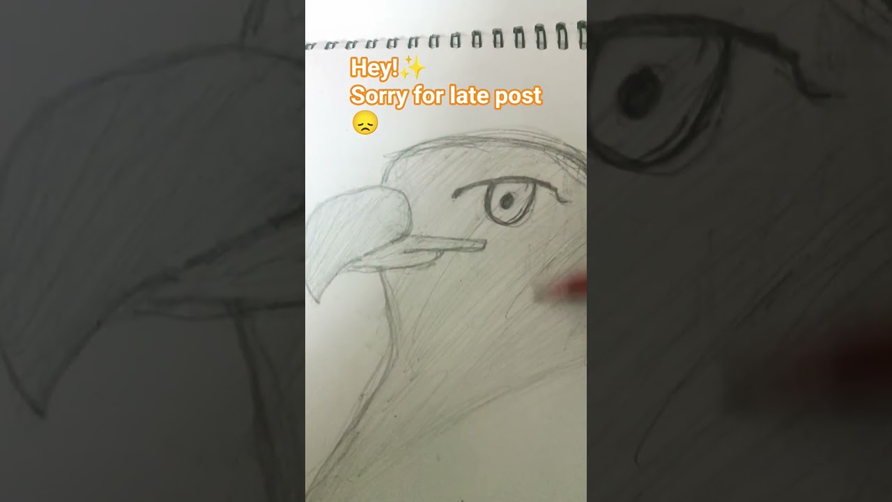 eagle drawing 