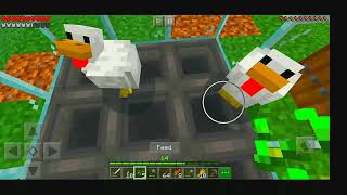 minecraft pe chicken coop 1