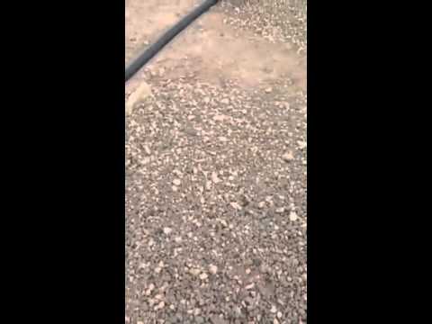 نعم هاذي نهايتنا وهنا سوف نسكن