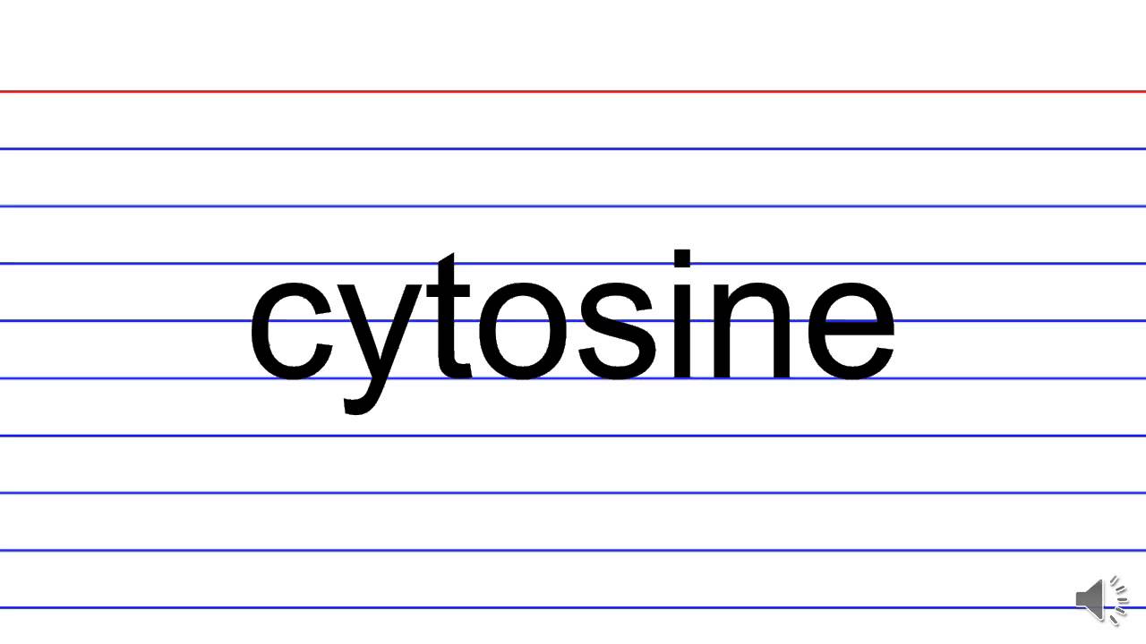 MCAT® Chemistry Flashcards nucleotides, DNA double helix, Huckel’s