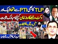 Pti alliances with tlp  shoaib shaheen big statement  saad hussain rizvi  imran khan